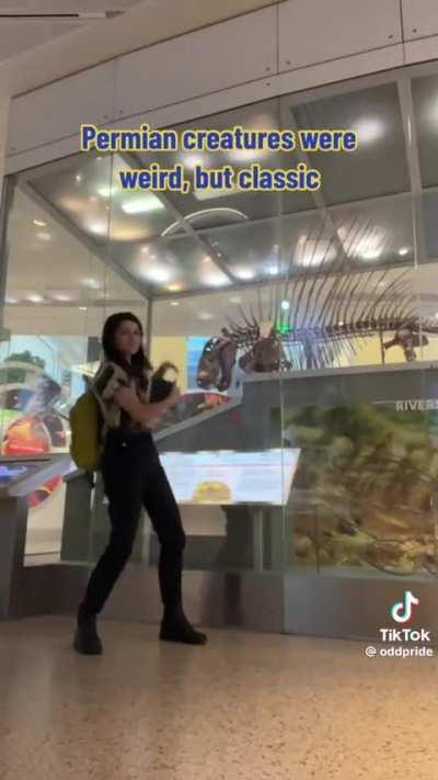 The Geologic Time Song