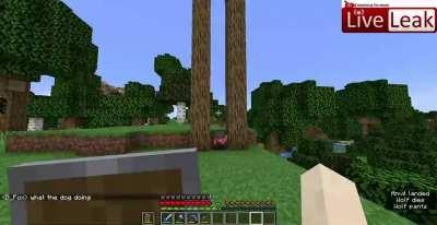 The minecraft server be like