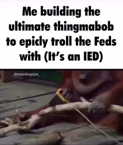 Monkee secure perimeter. Monkee just want to be left alone. 