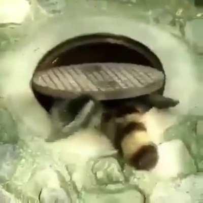 My mom forcing me to leave my room