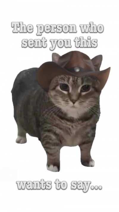 Buckle up, partner! What do you send your friends when you're ready for some bayou business?