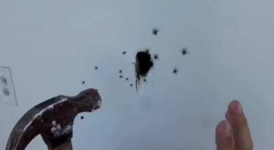 SLPT: How to rid your house of spiders