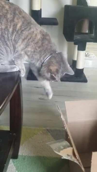 Be gone, sticky thing!