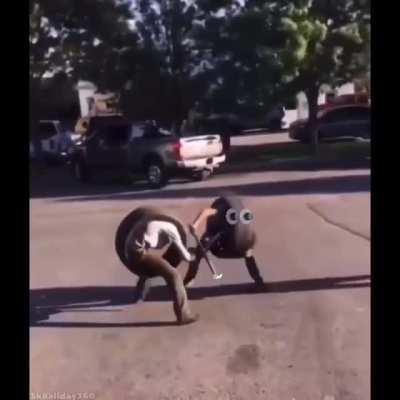 This happened when I stayed home from school today