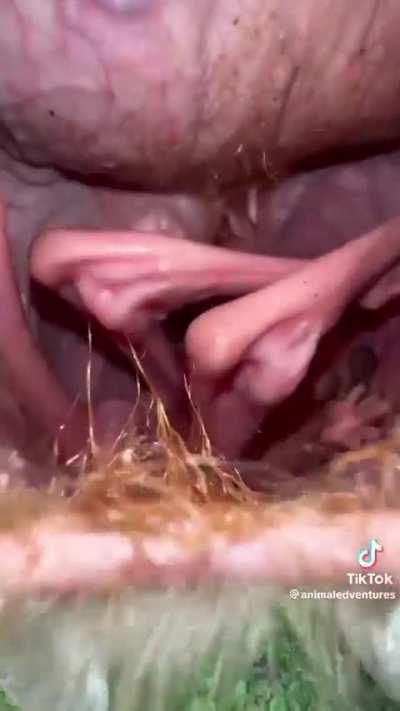 Why did it look like that