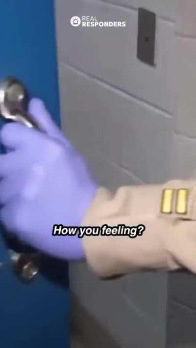 Sanest ppnojutsu member