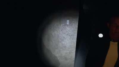 Perfect way to lure a ghost to hunt in Asylum