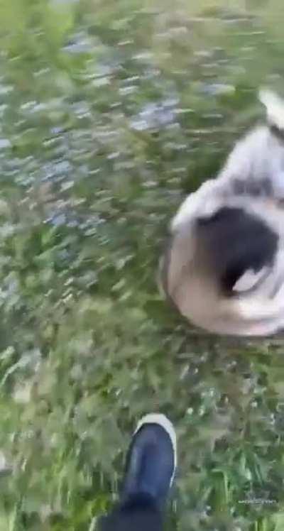 Elden Ring от лица любого босса