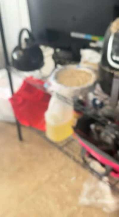 I just wanted to make a joke (i hate oatmeal)