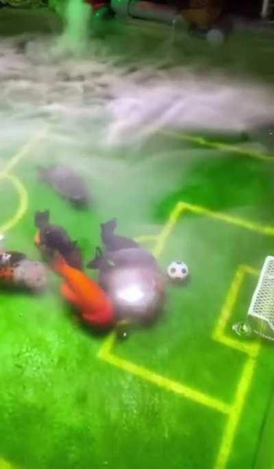 Underwater Soccer