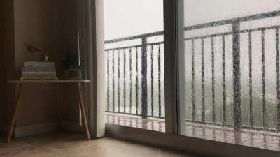 Perfect rainy day in south Florida 😌