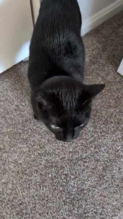 You can't go in the closet Babs!