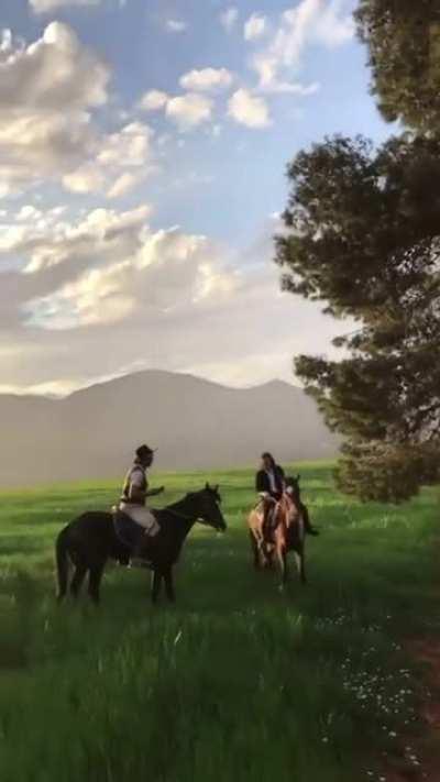 Tipaza's nice this time of the year.