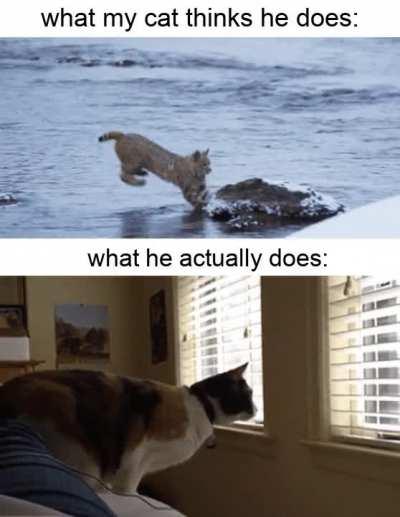 There was an attempt...