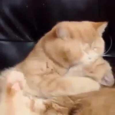 They're so cute- oh wait WHAT NO NO