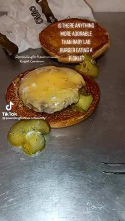 Horrors beyond comprehension