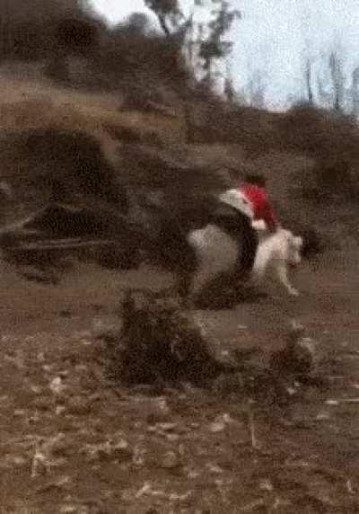 Let's go to conquer the world!