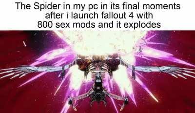 get fucked idiot ass spider