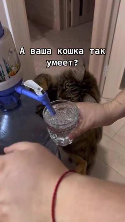 Let me pour you a drink