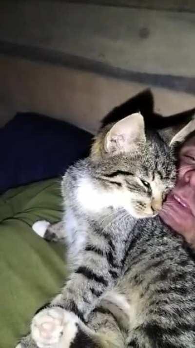 This bunker cat 🇺🇦