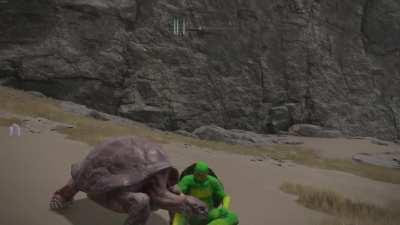 Do you guys like my Dog character? 🐢