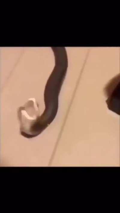 He dieeddd 😔😔😔😔