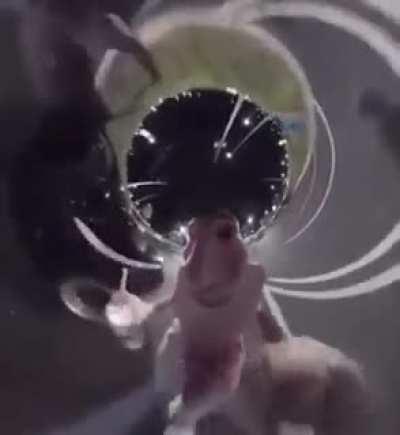 I love my milkshakes