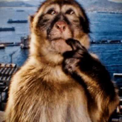 ver epik animaion i made