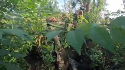 Ukrainians capture Russian soldiers near Bakhmut, Date unknown.