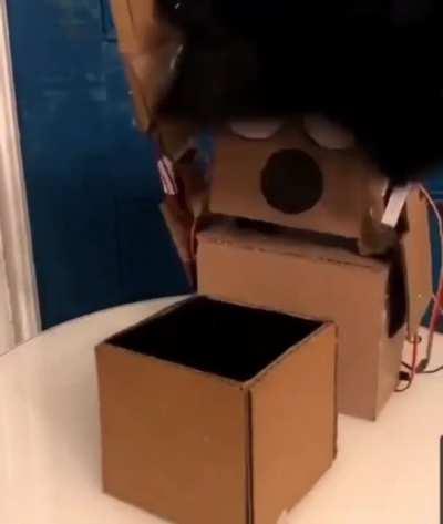 Cardboard box magician(to u/egg_static5)