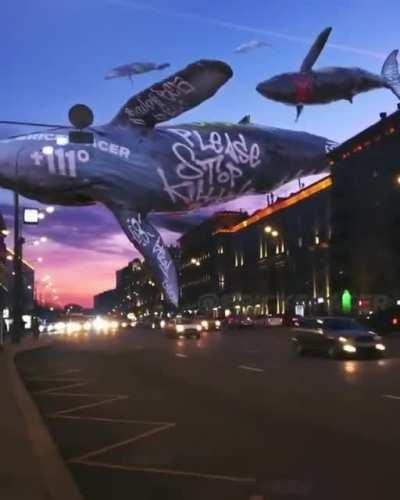 Flying whales