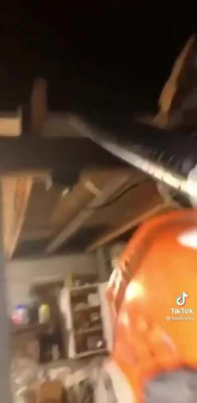 This guy really hates raccoons