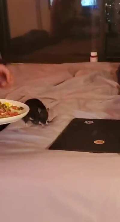 She's filled with determination ❤