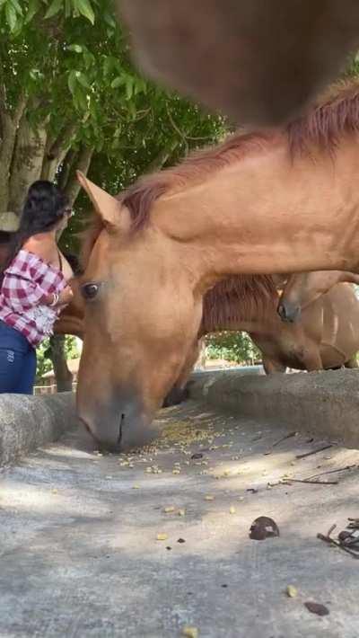 i hope being a slutty farmergirl is not a problem