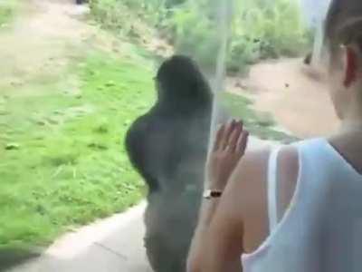 he looks like he's having fun