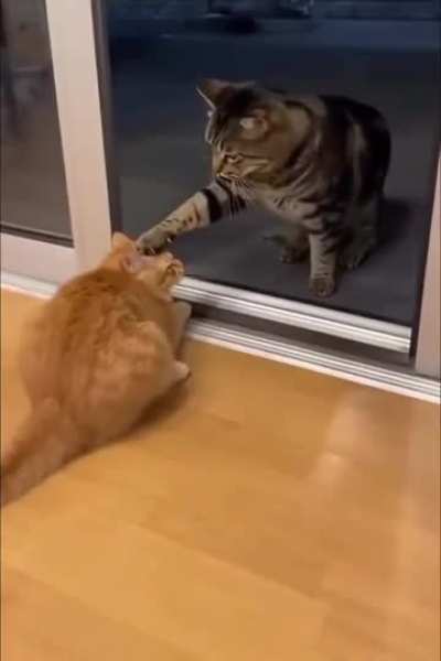 Discusiones de internet...