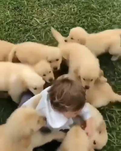 DOGE ARMY MAULS CHILD 😥😥😥