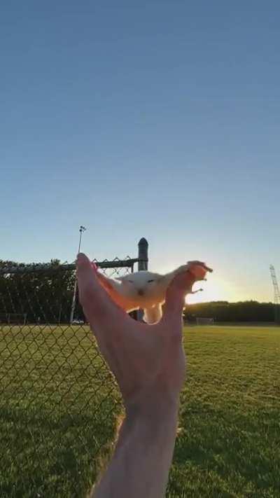 My God, it's so beautiful😍