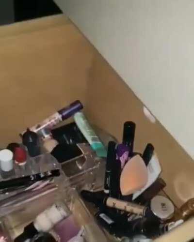 Kitty hustling makeup items.