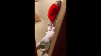 If this isn't scripted then I don't wanna be here anymore