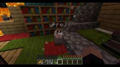 Attempt at a cursed Minecraft video (full video in the comments)