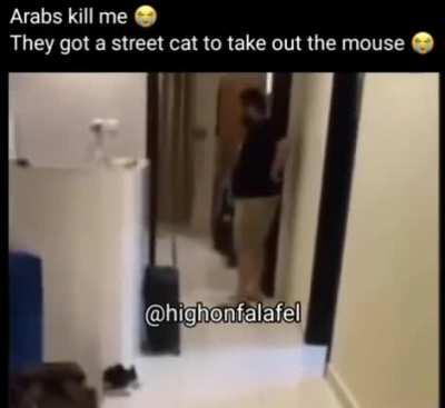 bro walked in like he got hired for a job