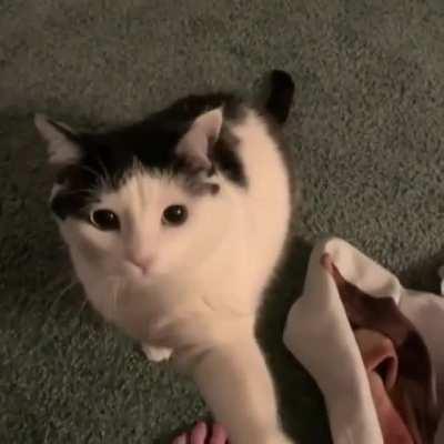 Look guys, He was about to fight me for his snacks 😂