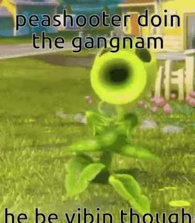 Ask Me Anything About Pvz GW2 And Then Edit The Comment To Make Me Look Like The Devil