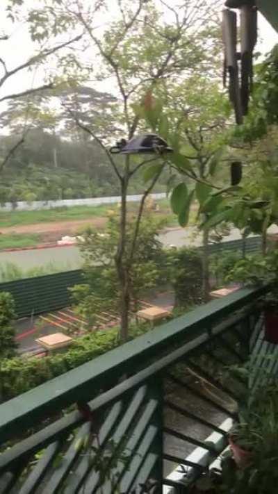 Woke up to this beauty!