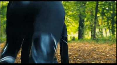 This is definitely the best scene in the entire series!