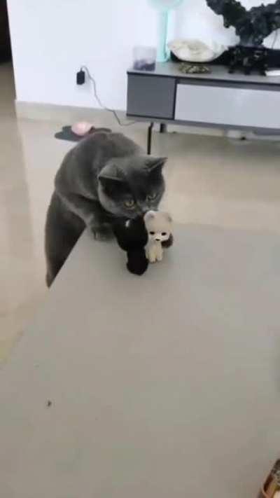 Dreaming of the new boyfriend...