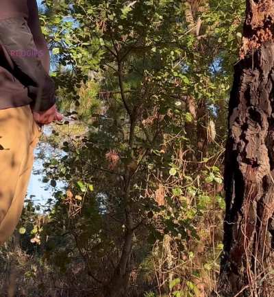 Letting out a gorgeous golden flow after yesterday's hike