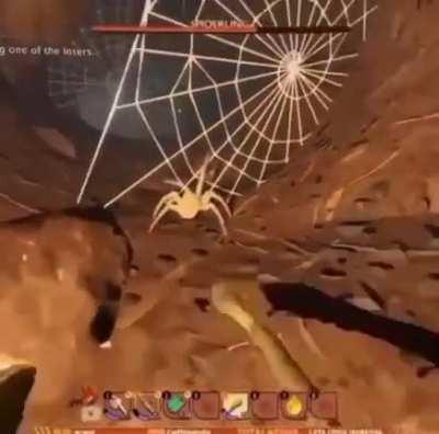 Pesdecoelho - Video #4064