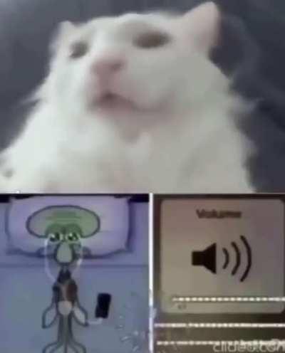 Certified Hood Classic